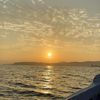 sipi_017