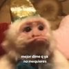 ojielas_de_bonito