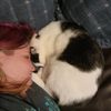 levyredfoxie