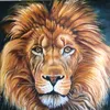 lionjutt222