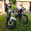 fredy_i