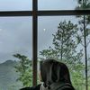 sitifajriyah87