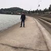 hoadam87_phutho