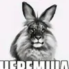 _cheremsha