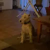eehellui