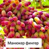 akilbekyussupbaev