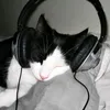 mythemixaodon