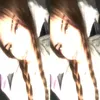 tamissues_