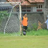 nzann17