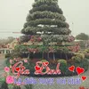 dy7vbv1fpk4x