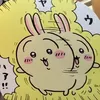 usagiiiiii23
