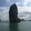 hoanghai_1985