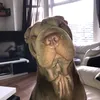 skylapei