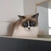 luisinho0o0