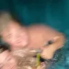 roro_perbet