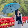 krubow_256