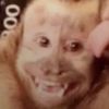 godlyhamster444