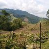 _caliche1245
