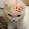 renichannn