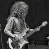 wafibass