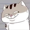 noooo_241