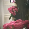 jiki_249