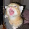 taziii_10