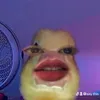cccsprt