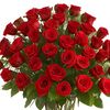 Suraj_sree