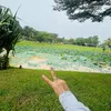 huonghuong096