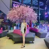 nguyennhu_y95