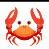 baby.crab87