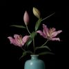 flowermoon242
