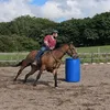 sandbagturnedwoodbutcher