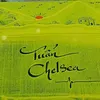 chelseadrgoba
