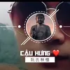 cauhung1996