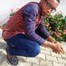 alikhan56991510