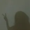 dianmussa2