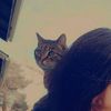 milena_fi0re