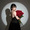 nhibi308