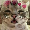 biw_nxz