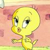mountainbird73