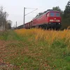 kai_nein_doch_ohhh