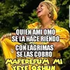 niurkareynaldo