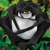 fareedh.m