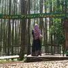 .liawahyuni