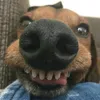 chocodotnut