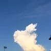 suta_m