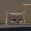 lieunhi_niuniu
