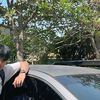 tosysafwanf